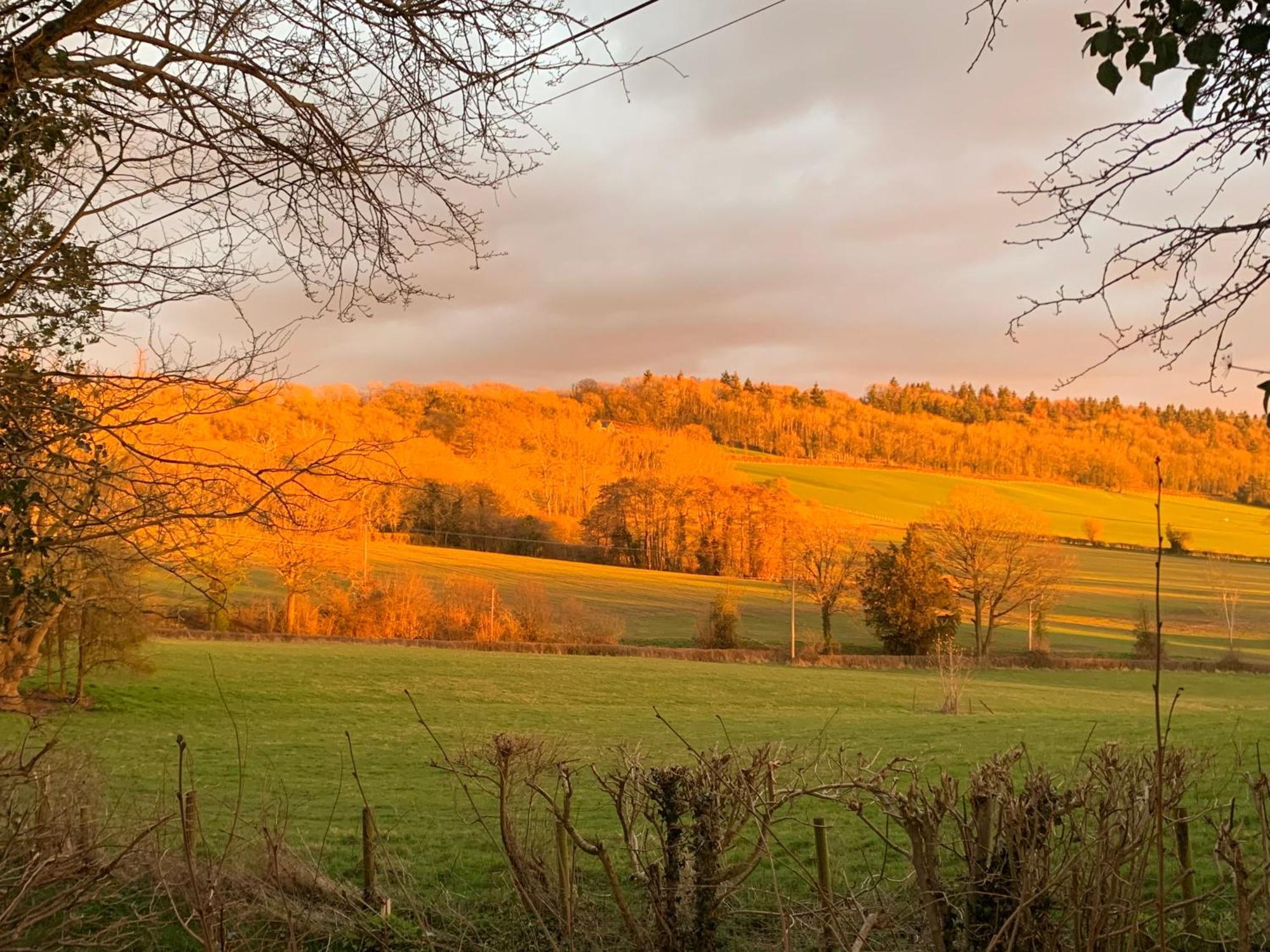 Hedgehog Lodge Colwall Dış mekan fotoğraf