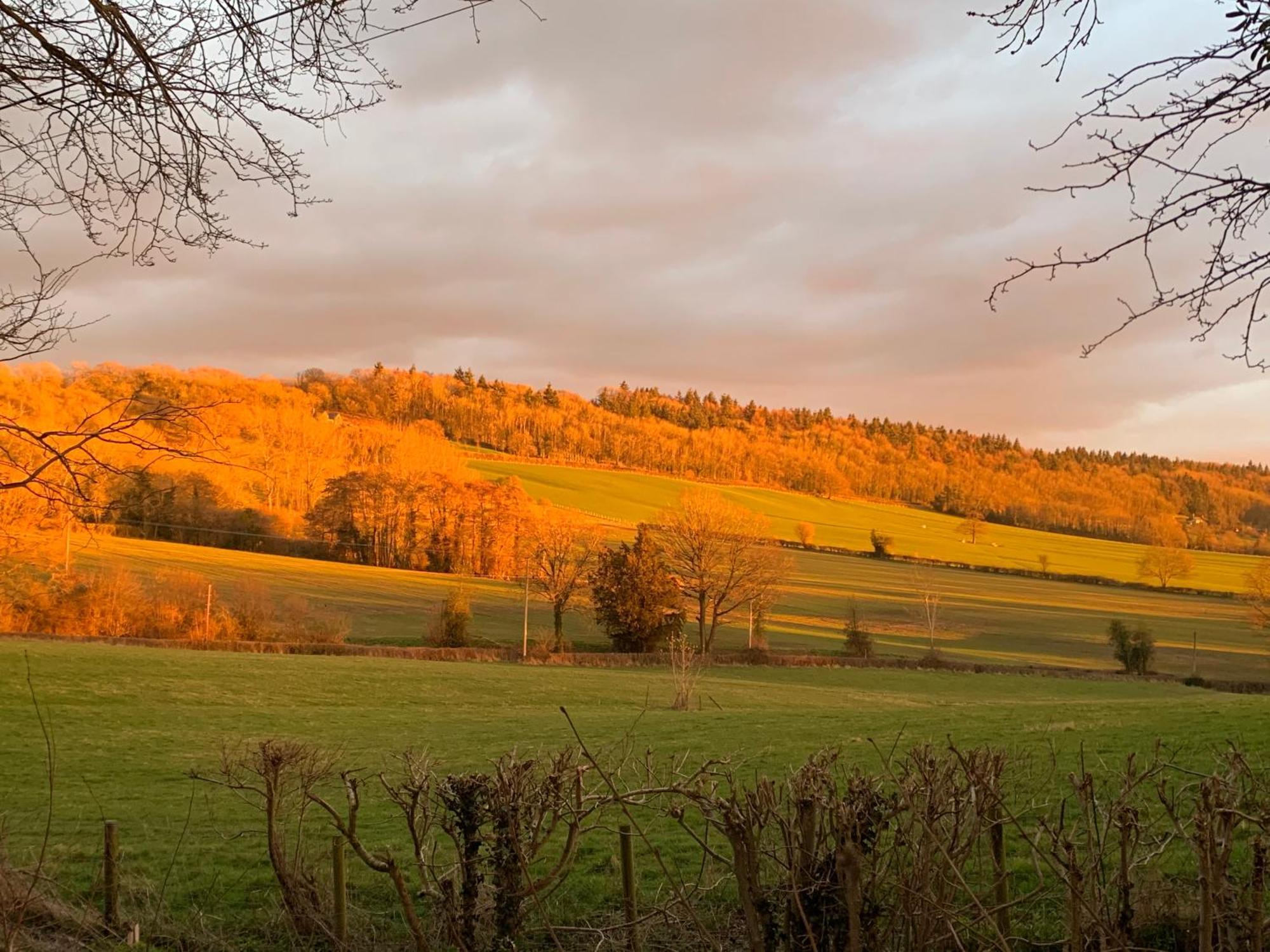 Hedgehog Lodge Colwall Dış mekan fotoğraf